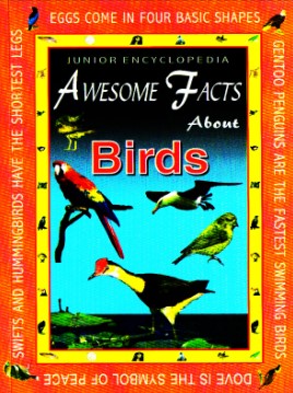 Junior Encyclopedia Awesome Facts About Birds